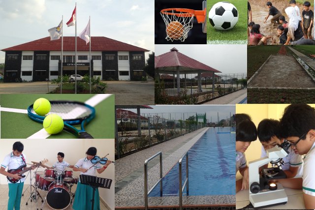 SCC